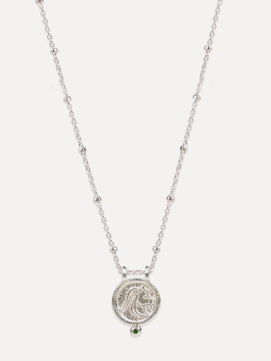 Capricorn Zodiac Necklace